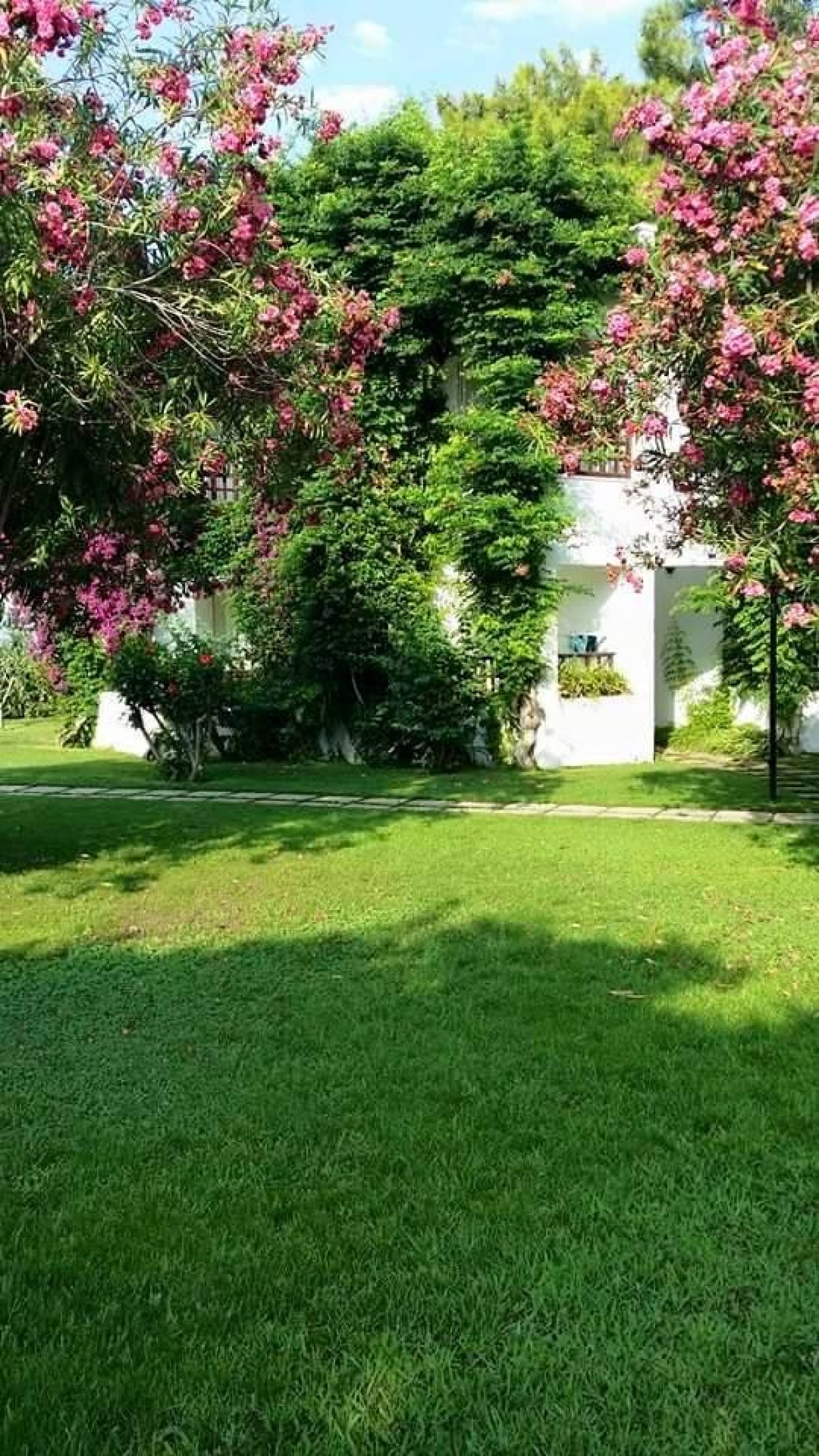 imagini hotel SIMENA SUN CLUB KEMER